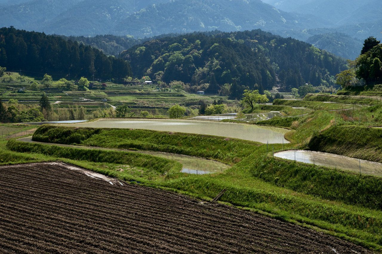 �����̐���